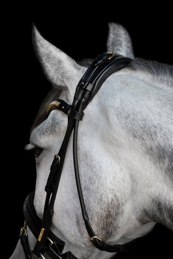 Olympic Bridle My Store