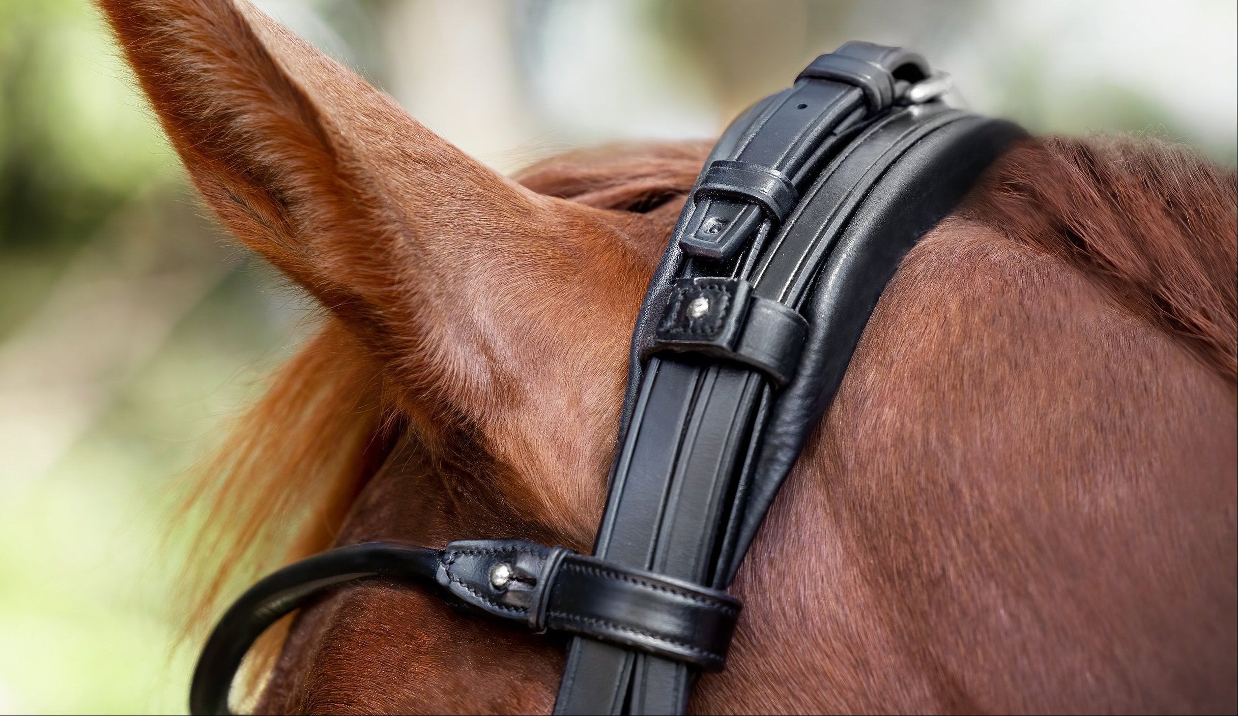 London Bridle Utzon Equestrian