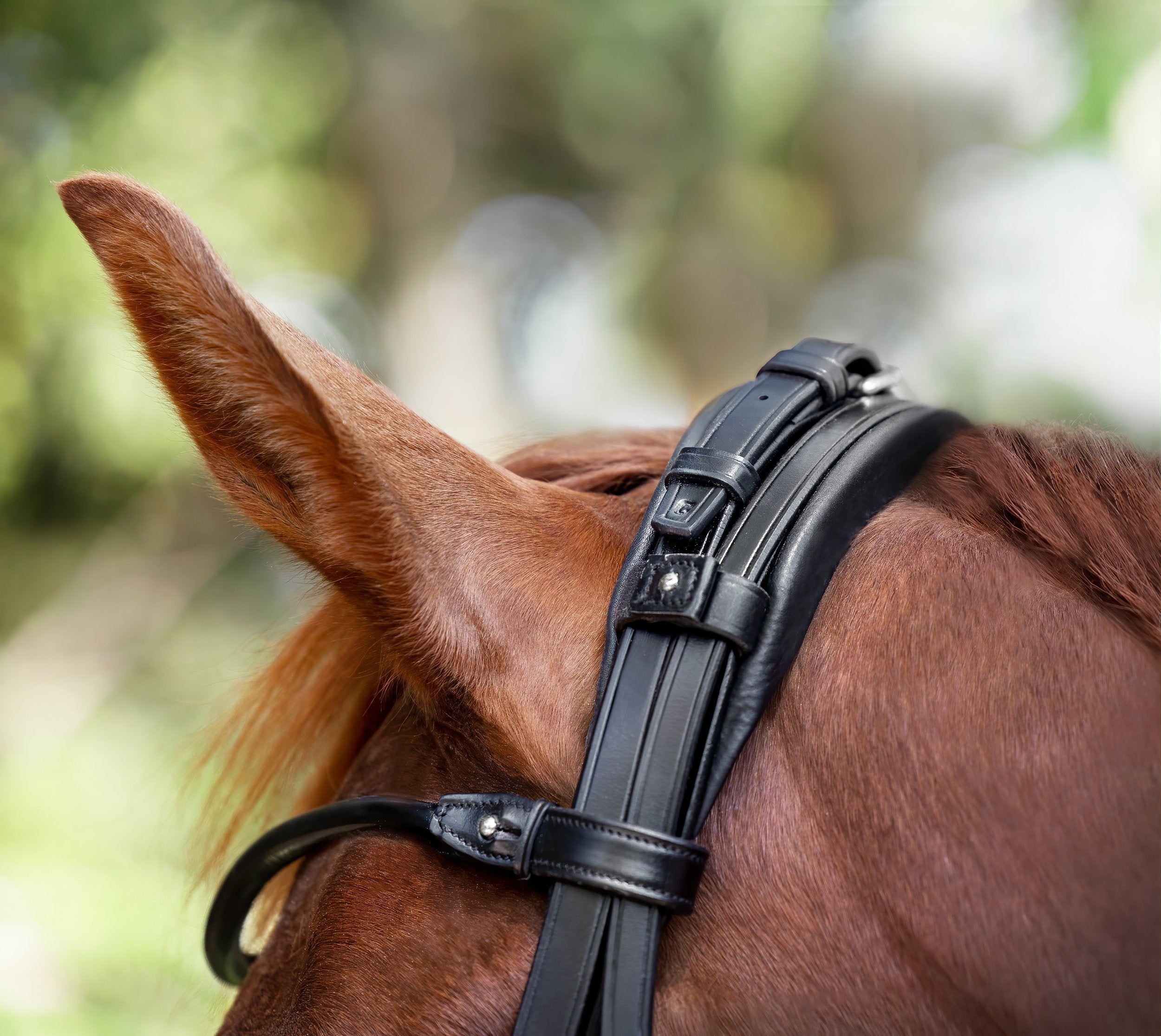 London Bridle