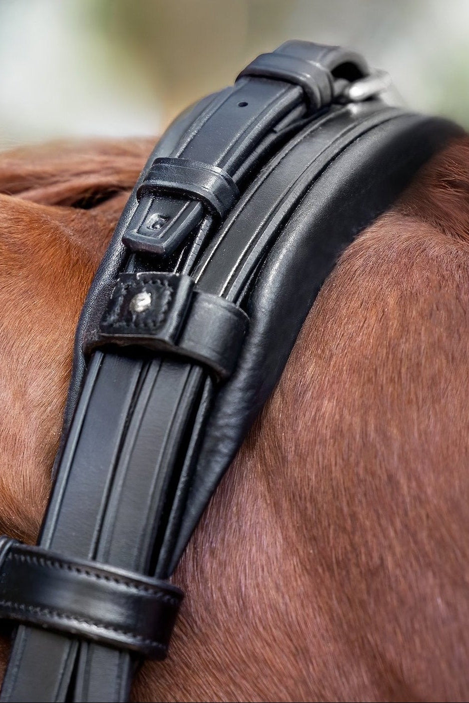 London Bridle Utzon Equestrian