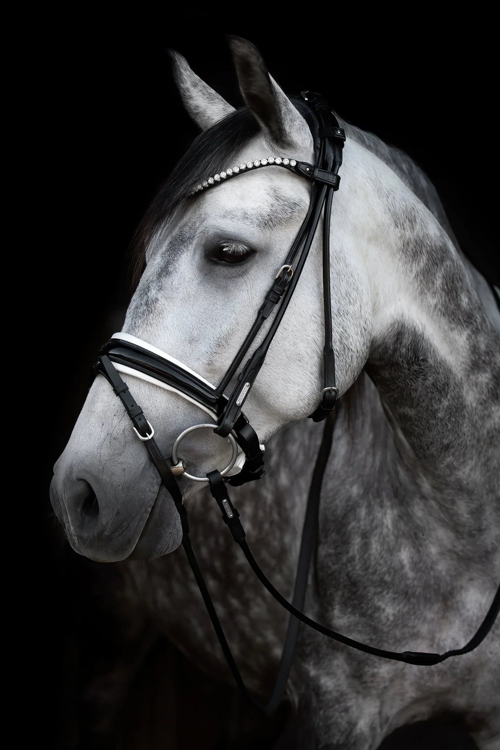 Edinburgh Bridle, crystal edition Utzon Equestrian