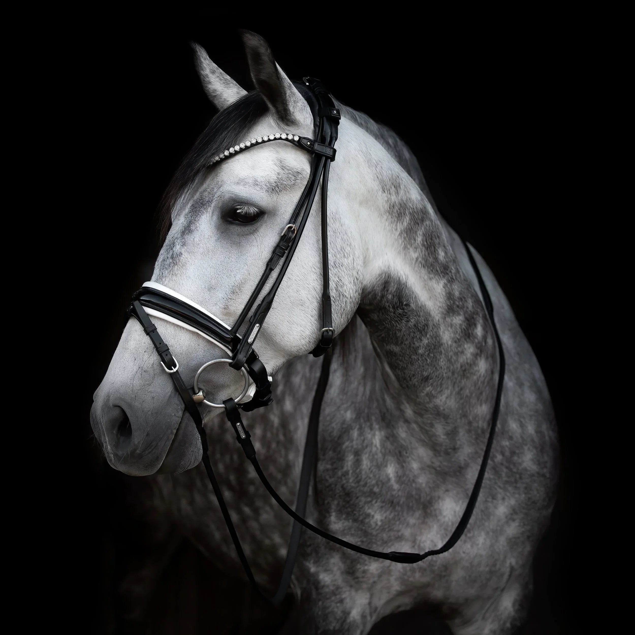 Bride écossaise, édition cristal