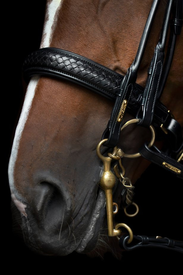 Olympic Double Bridle My Store