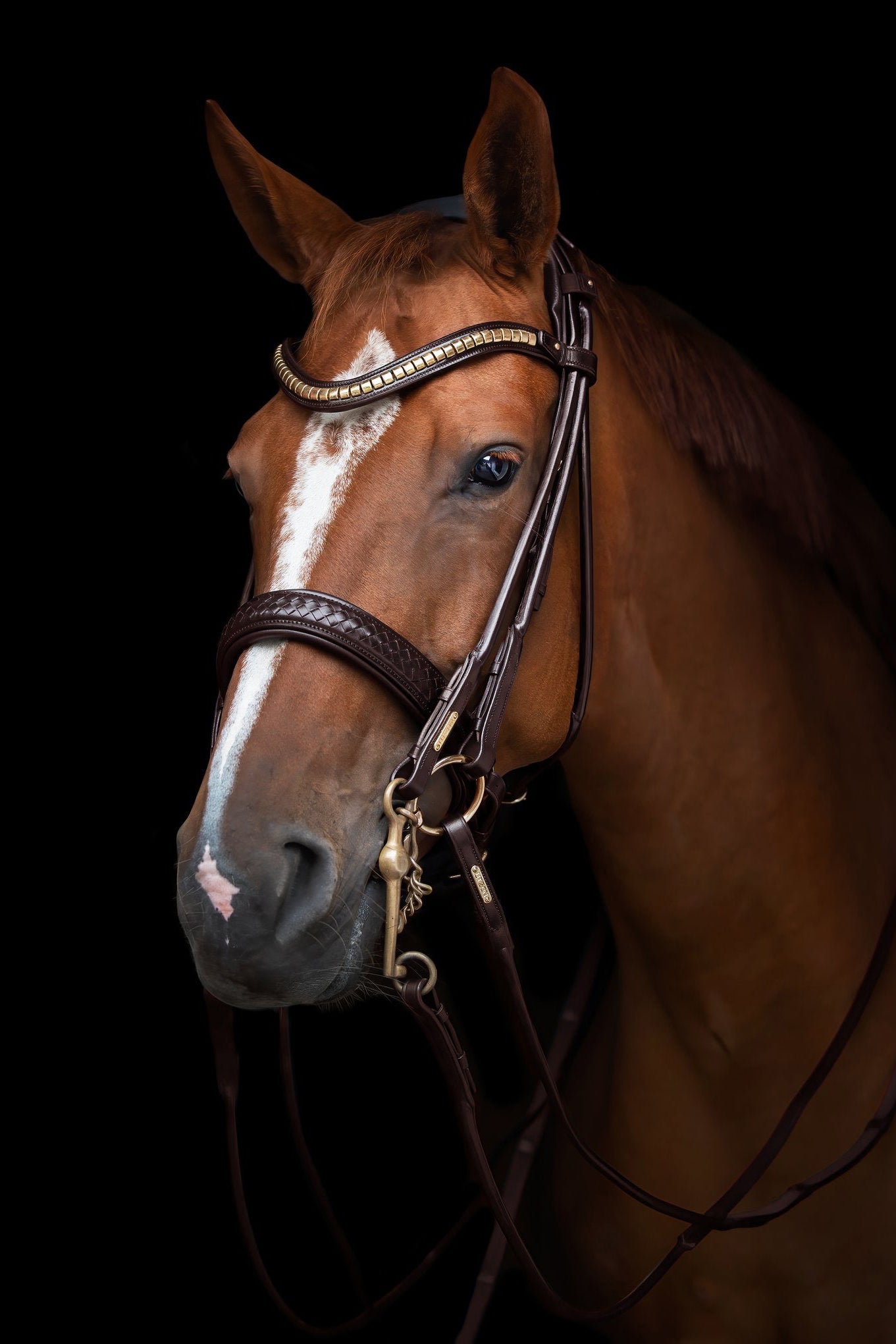 Olympic Double Bridle My Store