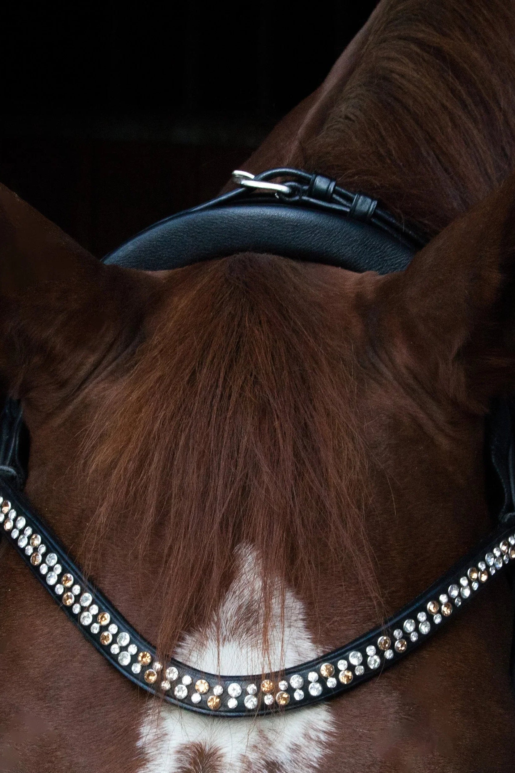 Miami Bridle, Grey crystals Utzon Equestrian